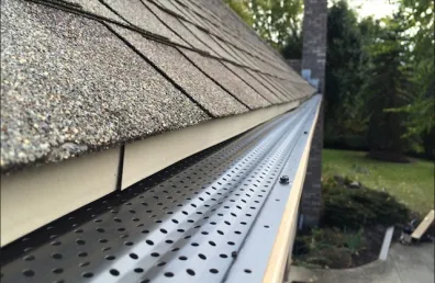 metal leaf filter on a gutter