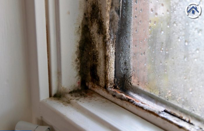 mold in bathroom window caused by condensation