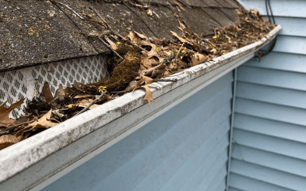 Gutter severely clogged by debris