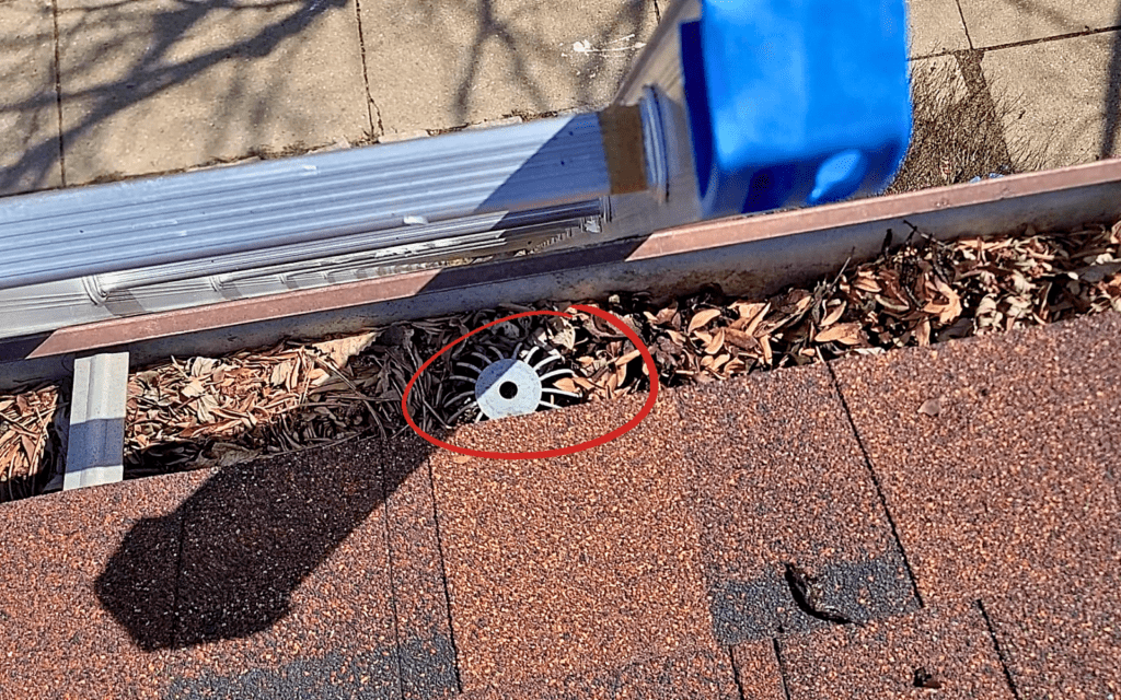 downspout outlet clogged by debris