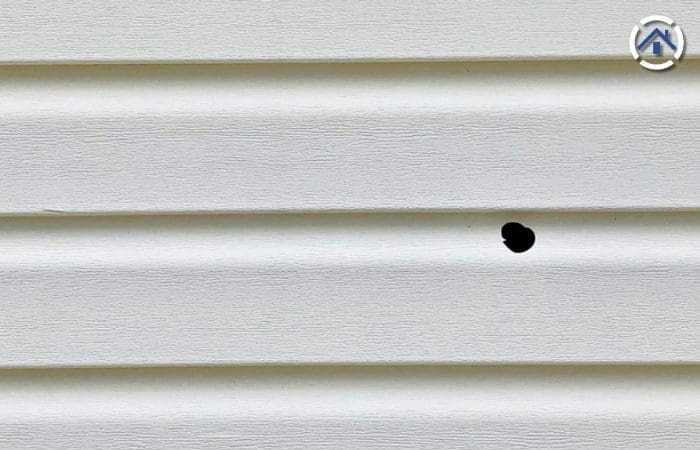 A hole in the siding caused by hailstone