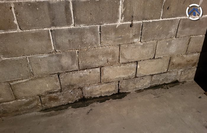 Water sipping into the foundation - one of the effects of not having gutters on the roof