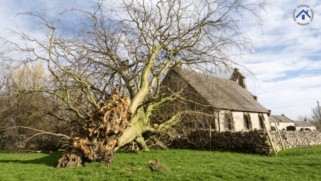 Step-3-Schedule-an-Appointment-with-an-Insurance-Adjuster