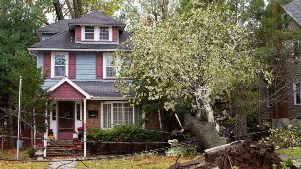 Step-4-Obtain-Repair-Estimates-1024x576