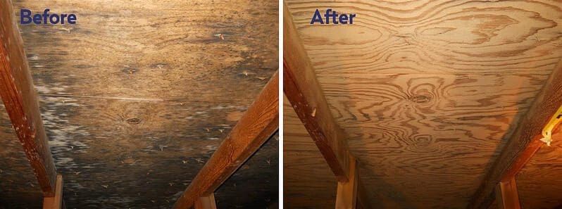 Attic Mold Before and after
