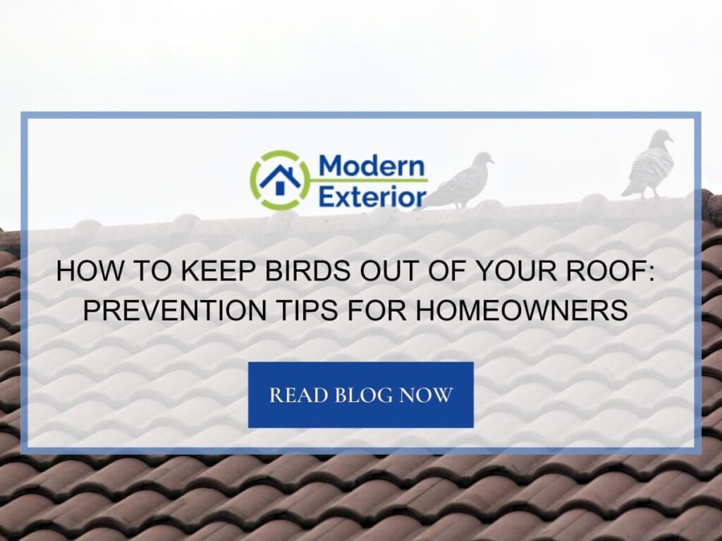 How to Keep Birds Out of Your Roof: Prevention Tips for Homeowners