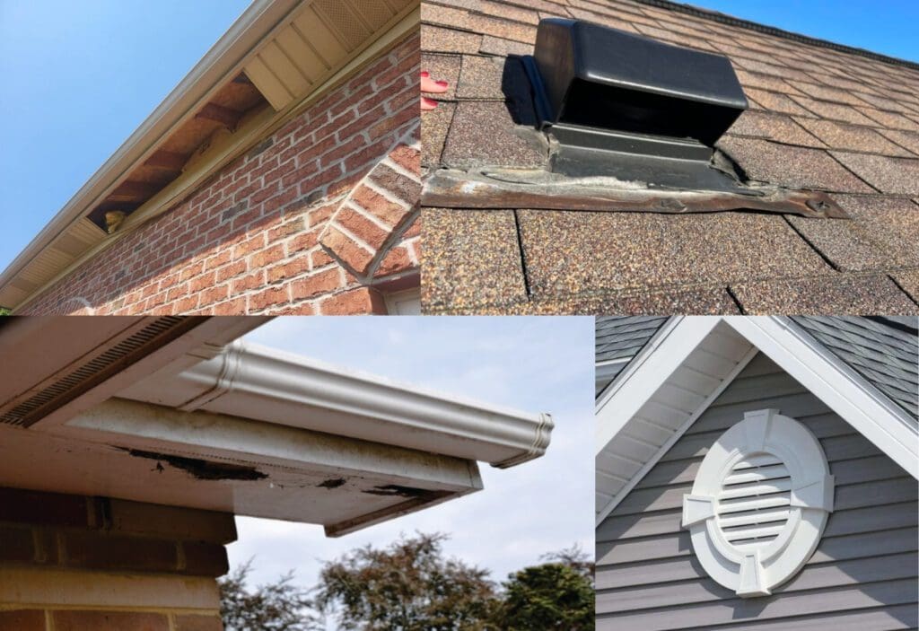 How to Build a Bird Box for Soffit: Easy Steps for Perfect Nesting
