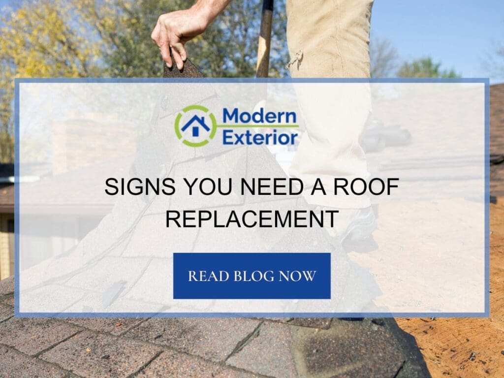 Signs You Need a Roof Replacement