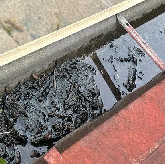 Gutter filled with dirt and debris, showing the importance of regular gutter maintenance and protective solutions by Modern Exterior.